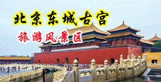 大屌双插中国北京-东城古宫旅游风景区